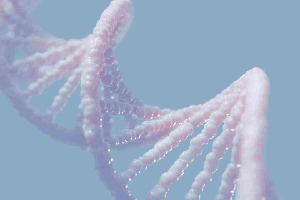 secuenciación del genoma