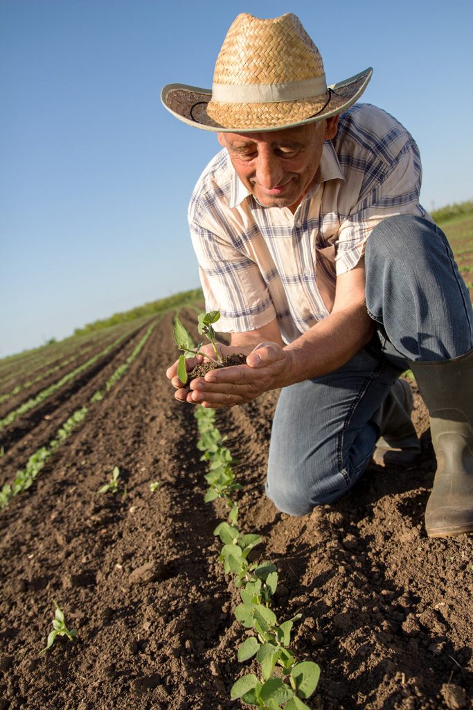 Trabajadores por cuenta propia agrarios