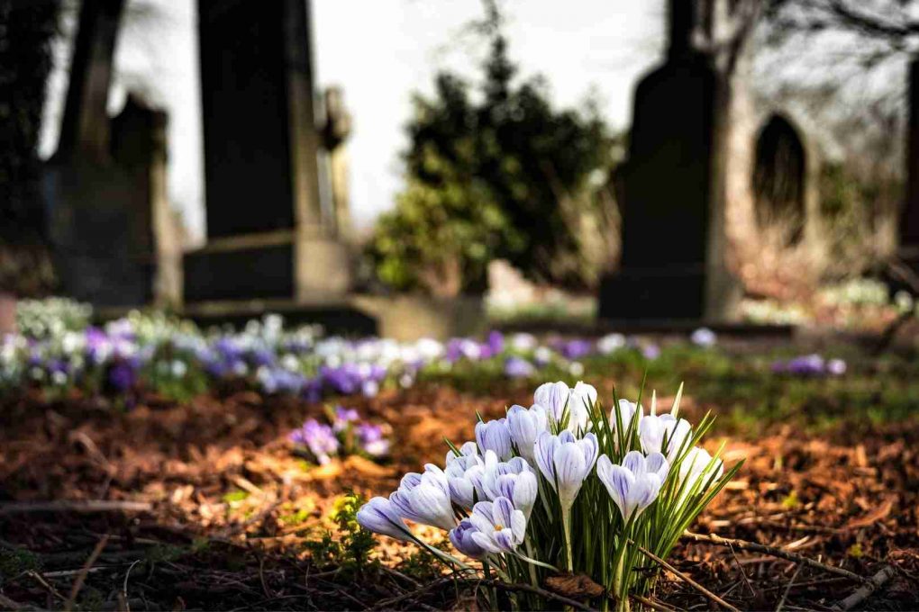 Impuesto de mantenimiento del cementerio